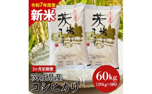 【令和7年度産 新米】【3ヶ月定期便】茨城県産コシヒカリ 20kg×3 【定期便 お米 ごはん こしひかり 老舗 米屋 おにぎり ごはん 茨城県 水戸市 60キロ】(HQ-206)