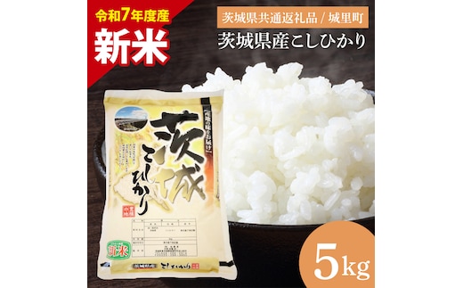 【数量限定】【令和7年度産 新米】茨城県産こしひかり 5kg（茨城県共通返礼品/城里町）【お米 ごはん こしひかり おいしい 白米 茨城県産 水戸市】（IH-6249）