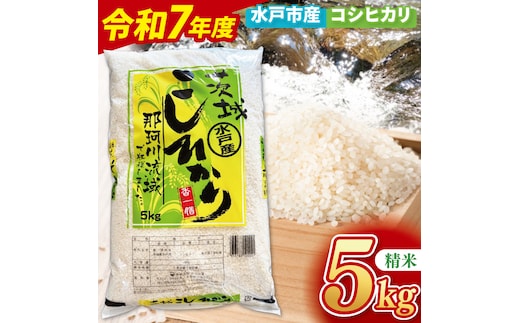 【数量限定】【令和7年産新米】水戸産コシヒカリ5kg 精米【お米 ごはん コシヒカリ おにぎり ごはん 茨城県 水戸市】(NP-3)