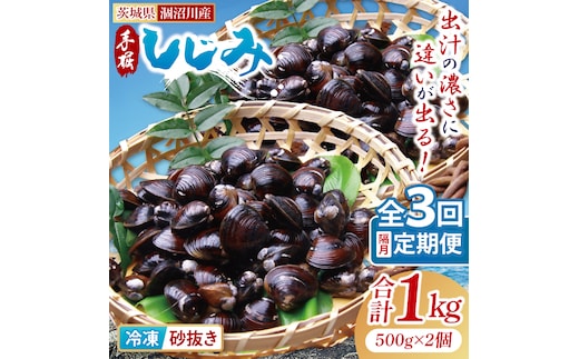 【全３回隔月定期便】茨城県涸沼川産 だしの濃さに違いが出る！手掘しじみ（砂抜き）500g×2個（1kg）【涸沼川 シジミ オルニチン 味噌汁 スープ 茨城県 水戸市】（MS-9）