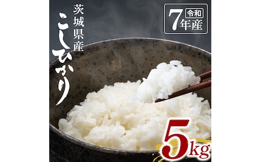【数量限定】令和7年茨城県産コシヒカリ5kg【お米 ごはん こしひかり おにぎり ごはん 茨城県 水戸市】(NU-1)