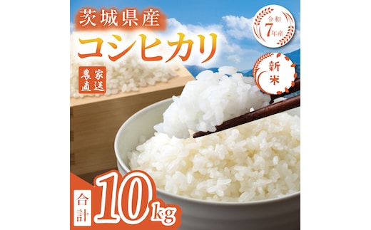 【11月下旬より発送】【数量限定】【家計応援】令和7年度産 新米 農家直送 コシヒカリ 10kg【米 こしひかり ごはん おにぎり 水戸市 水戸 茨城県 】(KV-6)