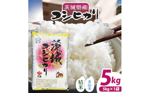 【数量限定】【令和7年産】茨城県産コシヒカリ 5kg 【お米 ごはん こしひかり おにぎり ごはん 茨城県 水戸市】(NQ-1)
