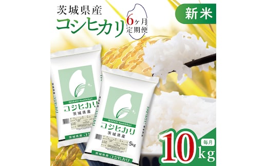 【6ヶ月定期便】令和8年産 茨城県産 新米コシヒカリ10kg（5kg×2袋）×6回(JB-124)
