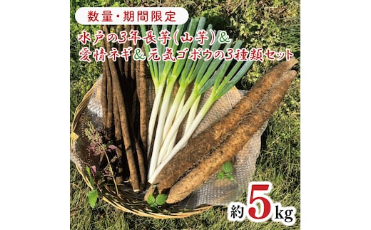 【数量限定】水戸の３年長芋（山芋）＆愛情ネギ＆元気ゴボウの３種類セット【茨城県産 野菜 やさい 野菜セット 水戸野菜 ごぼう 牛蒡 ながいも やまいも ねぎ 葱 国産 新鮮 産地直送 農家直送 生産者】（HD-2）