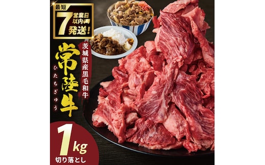常陸牛切り落とし 1kg【常陸牛 国産牛 和牛 牛肉 切り落とし ジューシー 茨城県 水戸市】（NW-6）