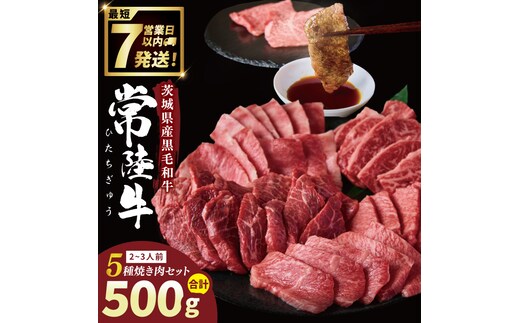 常陸牛5種焼肉セット希少部位入り (２～３人前 500g）【常陸牛 国産牛 和牛 牛肉 切り落とし 焼肉セット 希少部位 茨城県 水戸市】（NW-12）
