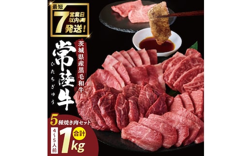 常陸牛5種焼肉セット希少部位入り（４～５人前１kg)【常陸牛 国産牛 和牛 牛肉 切り落とし 焼肉セット 希少部位 茨城県 水戸市】（NW-13）