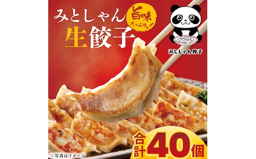 旨味たっぷり！本場プロの中華料理人が作る みとしゃん生餃子 40個【香香 シャンシャン 中華 人気 老舗 焼き餃子 冷凍 ぎょうざ ギョーザ シューマイ簡単調理 惣菜 おかず 水戸市 茨城県】（CS-2）