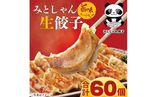 旨味たっぷり！本場プロの中華料理人が作る みとしゃん生餃子 60個【香香 シャンシャン 中華 人気 老舗 焼き餃子 冷凍 ぎょうざ ギョーザ シューマイ簡単調理 惣菜 おかず 水戸市 茨城県】（CS-3）