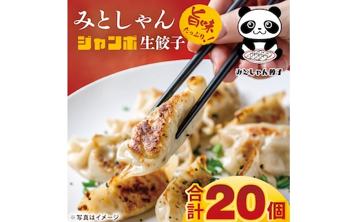 旨味たっぷり！本場プロの中華料理人が作る みとしゃんジャンボ餃子 20個【香香 シャンシャン 中華 人気 老舗 焼き餃子 冷凍 ぎょうざ ギョーザ シューマイ簡単調理 惣菜 おかず 水戸市 茨城県】（CS-4）