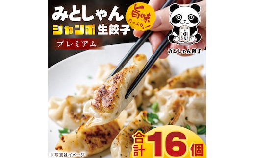旨味たっぷり！本場プロの中華料理人が作る みとしゃんジャンボ餃子プレミアム 16個【香香 シャンシャン 中華 人気 老舗 焼き餃子 冷凍 ぎょうざ ギョーザ シューマイ簡単調理 惣菜 おかず 水戸市 茨城県】（CS-8）