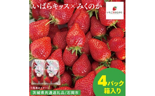 【数量限定】【離島配送不可】いばらキッス×みくのか 4パック/箱【茨城県共通返礼品/石岡市】【いちご イチゴ 苺 果物 くだもの フルーツ 茨城県】（LX-10）