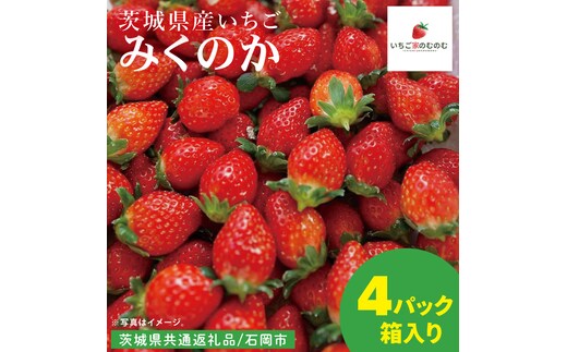 【数量限定】【離島配送不可】みくのか 4パック/箱【茨城県共通返礼品/石岡市】【いちご イチゴ 苺 果物 くだもの フルーツ 茨城県】（LX-8）