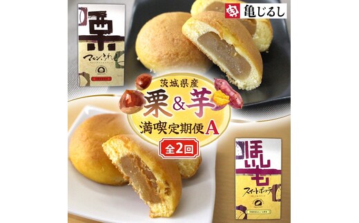 【2ヶ月定期便】亀印製菓 茨城県産栗＆芋満喫定期便A（MP-35）