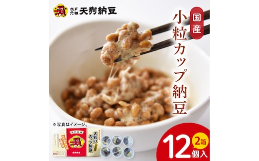【天狗納豆】国産小粒カップ納豆（50ｇ×6個）×2箱（DQ-16）