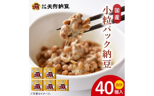 【天狗納豆】国産小粒パック納豆（50ｇ×5個）×8袋（DQ-22）