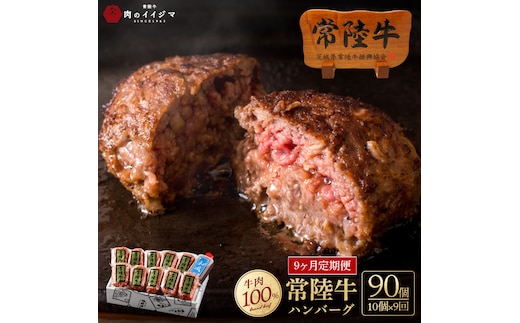 9ヶ月 定 期便 肉 常陸牛ハンバーグ100g×10個 計1kg × 9回 セット 肉のイイジマ（DU-159）