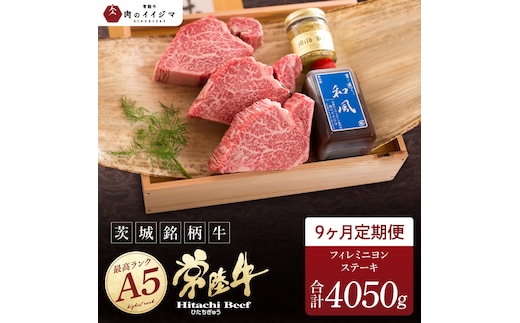 9ヶ月 定期便 肉 希少部位 食べ物 肉 常陸牛A5 上質フィレミニヨンステーキ 150g × 3枚 9回 ＜木箱入り・特製タレ／マスタード付き＞肉のイイジマ（DU-168）