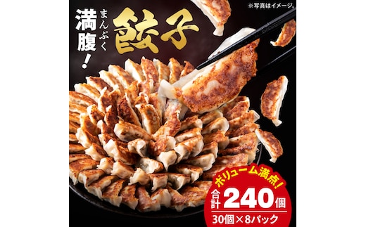 満腹餃子 リピーター続出！ボリューム満点！240個（6kg）老舗 大容量 国産 焼き餃子 冷凍 ぎょうざ ギョーザ 冷凍餃子 簡単調理 惣菜 おかず おつまみ スタミナ 高評価 水戸市 茨城県（EJ-19）