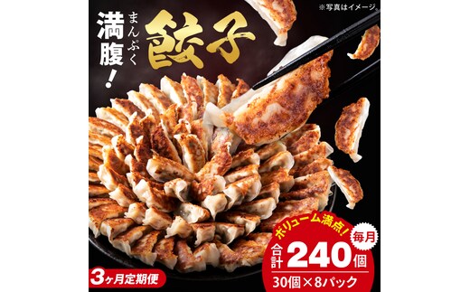 【3ヶ月定期便】満腹餃子 リピーター続出！ボリューム満点！240個（6kg）×3回 老舗 大容量 国産 焼き餃子 冷凍 ぎょうざ ギョーザ 冷凍餃子 簡単調理 惣菜 おかず おつまみ スタミナ 高評価 水戸市 茨城県（EJ-20）