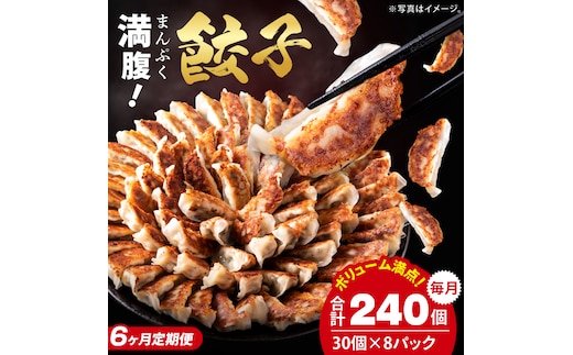 【6ヶ月定期便】満腹餃子 リピーター続出！ボリューム満点！240個（6kg）×6回 老舗 大容量 国産 焼き餃子 冷凍 ぎょうざ ギョーザ 冷凍餃子 簡単調理 惣菜 おかず おつまみ スタミナ 高評価 水戸市 茨城県（EJ-21）
