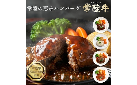 3営業日以内発送！常陸の恵みハンバーグ「常陸牛×茨城県産豚」4種のソースセット（OJ-1）