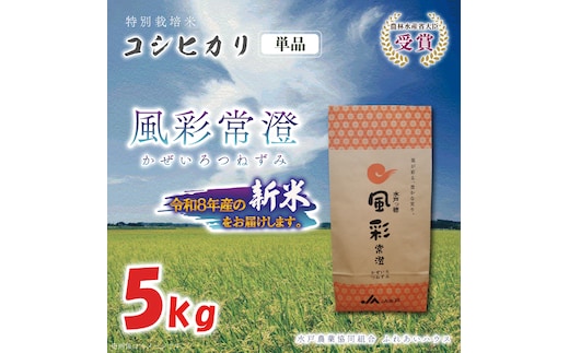 令和8年産 特別栽培米コシヒカリ「風彩常澄」5kg 新米 特A （FC-8）