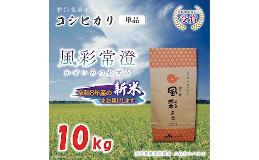 令和8年産 特別栽培米コシヒカリ「風彩常澄」10kg 新米 特A（FC-11）
