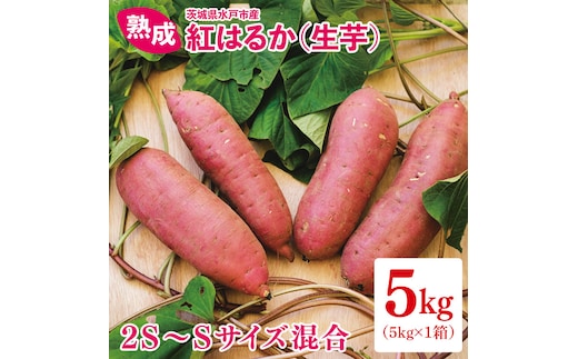 熟成 紅はるか生芋 2S～Sサイズ 混合 5kg （IN-17)