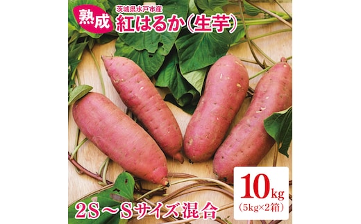 熟成 紅はるか生芋 2S～Sサイズ 混合 10kg（IN-20)