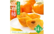 【先行予約】【2025年10月下旬以降発送】【数量限定】富有柿 2L 14玉【茨城県共通返礼品/石岡市】【水戸市 茨城県 カキ 柿 フルーツ 果物 くだもの 富有柿 ジューシー 甘い】（IU-10）