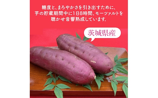 道の駅でも人気！【モーツァルトを聞かせた干し芋】紅はるか平干し800g