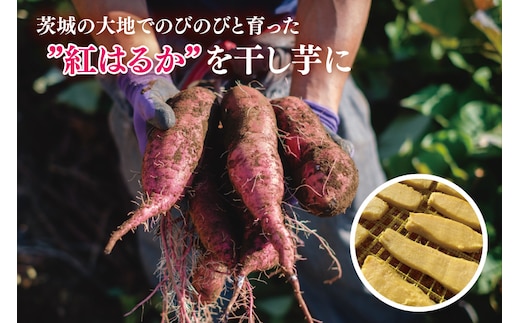 12月より順次発送】干し芋 平干し 紅はるか 2.5kg（250g×10）【干し芋 干しいも ほし芋 芋 さつまいも さつま芋 紅はるか 茨城県  水戸市】（IN-6) | dショッピングふるさと納税百選