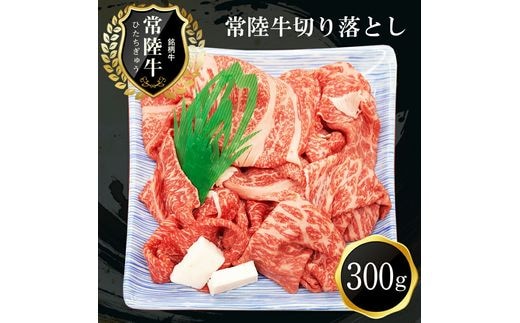 B-21 常陸牛 おいしい切り落とし（300g）