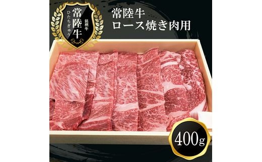 D-10 日立市産 常陸牛ロース焼き肉用(400g)