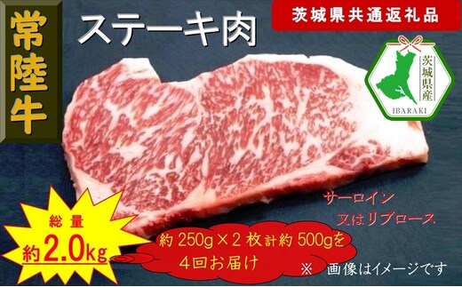 【4か月定期便】【常陸牛】ステーキ用肉 約500g【定期便】計4回 総量約2,000g（茨城県共通返礼品）【常陸牛 茨城県産 日立市】