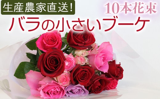 生産農家直送！バラの小さいブーケ 10本セット ※沖縄・離島への配送不可| バラ 薔薇 ばら 花束 花 ブーケ 家庭用 プチギフト 古河ブランド _AL05