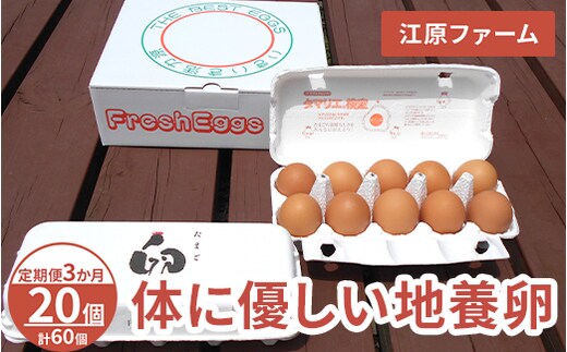 【定期便3か月】 江原ファーム 体に優しい地養卵（20個）｜卵 たまご タマゴ 生みたて 産みたて 新鮮 濃厚 健康 赤玉 産地直送_AG22