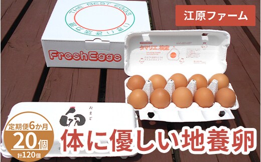 【定期便6か月】 江原ファーム 体に優しい地養卵（20個）｜卵 たまご タマゴ 生みたて 産みたて 新鮮 濃厚 健康 赤玉 産地直送_AG23