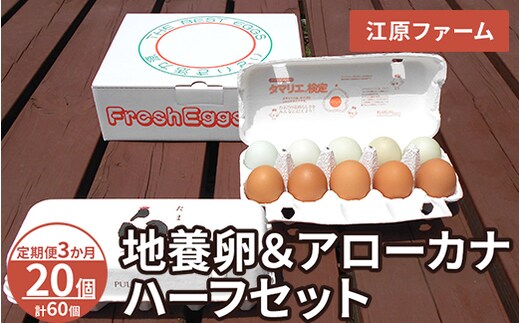 【定期便3か月】 江原ファーム 地養卵＆アローカナハーフセット（計20個）｜卵 たまご タマゴ 生みたて 産みたて 新鮮 濃厚 健康 赤玉 青い卵 産地直送_AG25