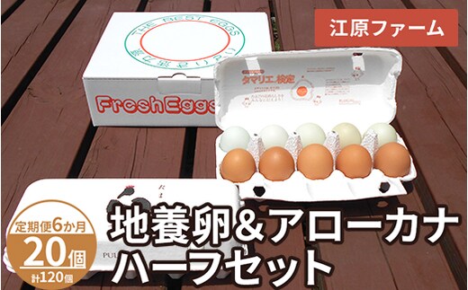 【定期便6か月】 江原ファーム 地養卵＆アローカナハーフセット（計20個）｜卵 たまご タマゴ 生みたて 産みたて 新鮮 濃厚 健康 赤玉 青い卵 産地直送_AG26