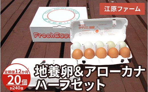 【定期便12か月】 江原ファーム 地養卵＆アローカナハーフセット（計20個）｜卵 たまご タマゴ 生みたて 産みたて 新鮮 濃厚 健康 赤玉 青い卵 産地直送_AG27