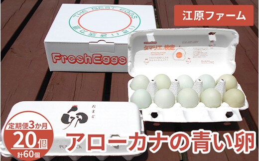 【定期便3か月】 江原ファーム アローカナの青い卵（20個）｜卵 たまご タマゴ 生みたて 産みたて 新鮮 濃厚 健康 青い卵 産地直送_AG28