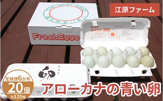 【定期便6か月】 江原ファーム アローカナの青い卵（20個）｜卵 たまご タマゴ 生みたて 産みたて 新鮮 濃厚 健康 青い卵 産地直送_AG29
