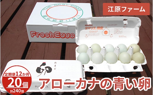 【定期便12か月】 江原ファーム アローカナの青い卵（20個）｜卵 たまご タマゴ 生みたて 産みたて 新鮮 濃厚 健康 青い卵 産地直送_AG30
