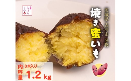 【スイーツのような甘さ】焼き蜜いも（1.2kg） _DP12｜スイーツ 芋 いも イモ やきいも さつまいも サツマイモ おやつ お菓子 菓子 健康 食物繊維 野菜 やさい 甘い ねっとり しっとり 冷凍 紅和み 長期保存 蜜 茨城県産 茨城県 古河市 温め 冷やし