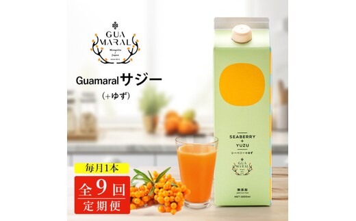 【定期便9カ月】サジー グアマラルサジー＋ゆず 1000ml 毎月1本9カ月コース｜サジージュース サジー 沙棘 グアマラル 健康ドリンク 健康 美容 栄養 果汁 鉄分補給 栄養補給 健康食品 _DX33