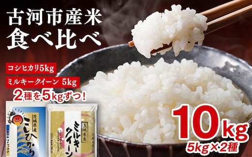 令和7年産 古河のお米食べ比べセット（コシヒカリ・ミルキークイーン）計10kg | 米 こめ コメ 10キロ 精米 食べ比べ 食べくらべ こしひかり コシヒカリ ミルキークイーン みるきーくいーん 古河市産 茨城県産 贈答 贈り物 プレゼント 茨城県 古河市 直送 農家直送 産地直送 送料無料 ※2025年9月中旬頃より順次発送予定 _DP04