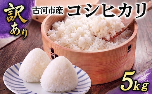 【訳あり】令和7年 古河市産 コシヒカリ 5kg | 米 こめ コメ 5キロ こしひかり コシヒカリ 国産 茨城県産 古河市産 2025年産 着日指定可 着日指定OK _GF25